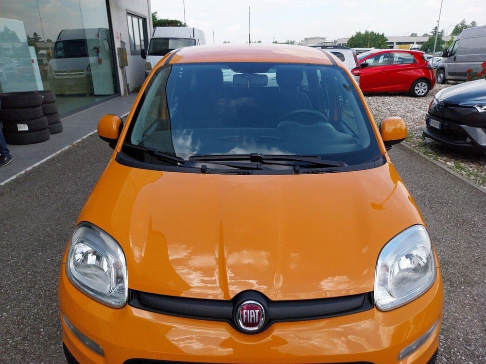 Fiat Panda usata a Ravenna (9)