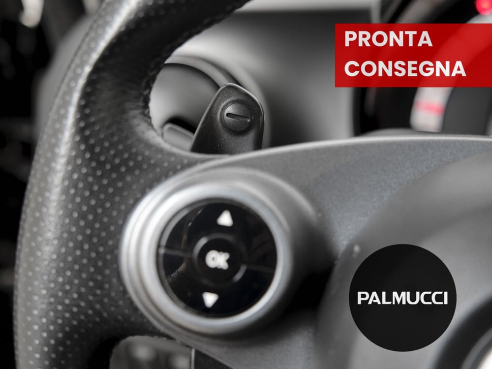 smart forfour usata a Prato (15)