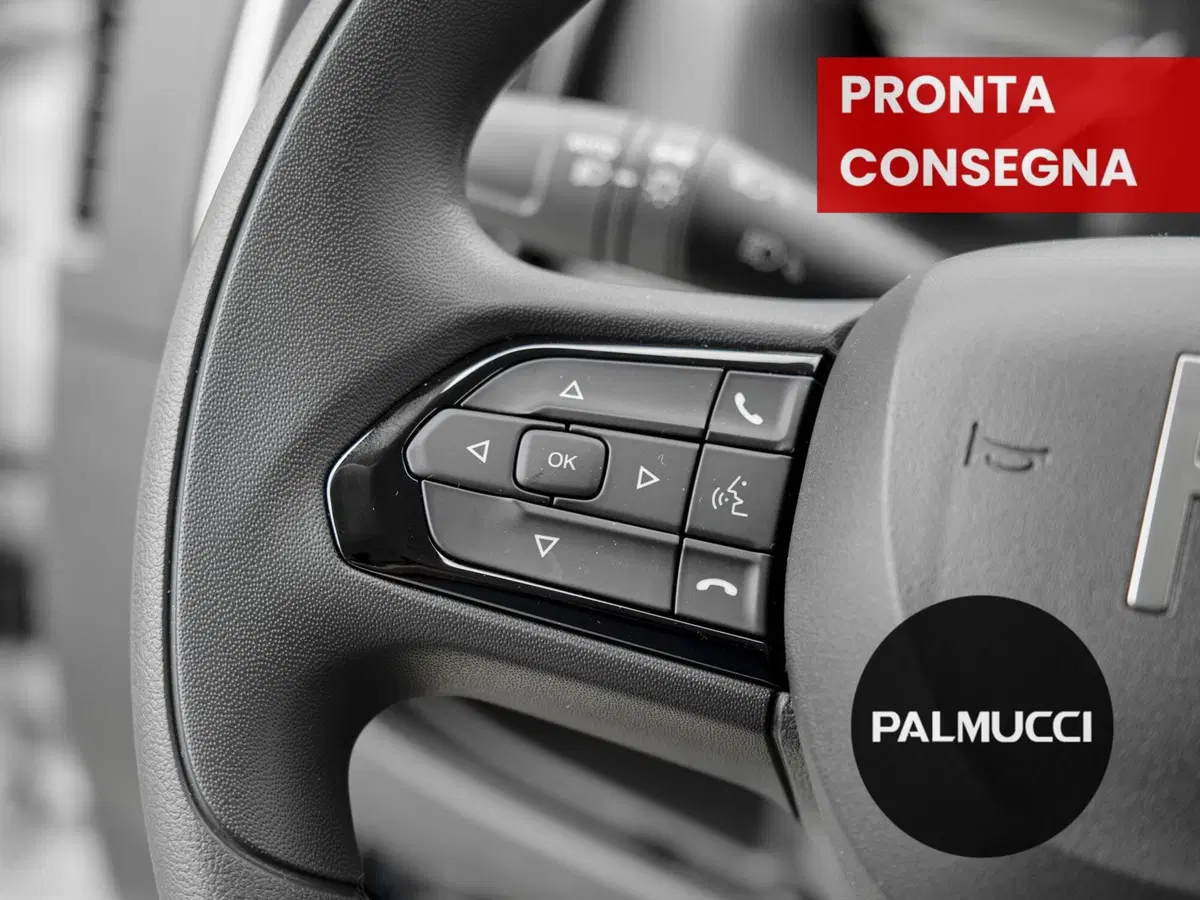 Fiat Ducato Furgone nuova a Prato (11)