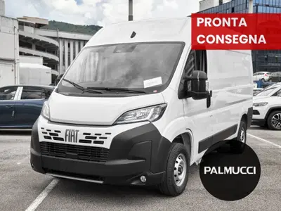 Fiat Ducato Furgone 35 2.2 Mjt 140CV PLMX-TM Maxi HD nuova a Prato