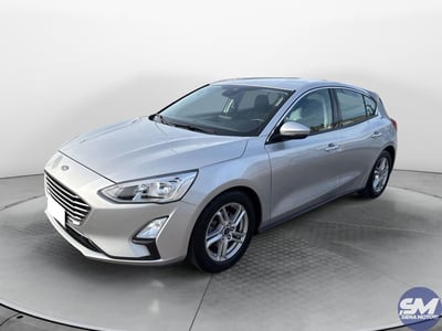 Ford Focus 1.5 EcoBlue 120 CV 5p. Business del 2019 usata a Barberino Val d&#039;Elsa
