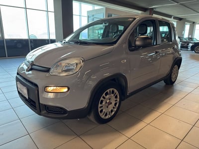 Fiat Panda Cross Cross 1.0 FireFly S&amp;S Hybrid del 2022 usata a Messina