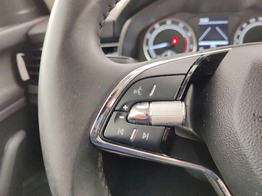 Skoda Scala usata a Massa-Carrara (14)