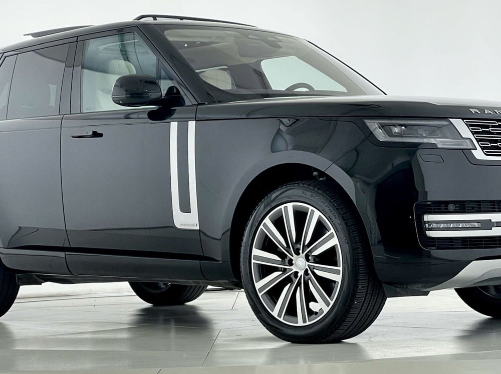 Land Rover Range Rover usata a Perugia (3)