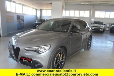 Alfa Romeo Stelvio Stelvio 2.2 Turbodiesel 210 CV AT8 Q4 Veloce del 2021 usata a Orvieto