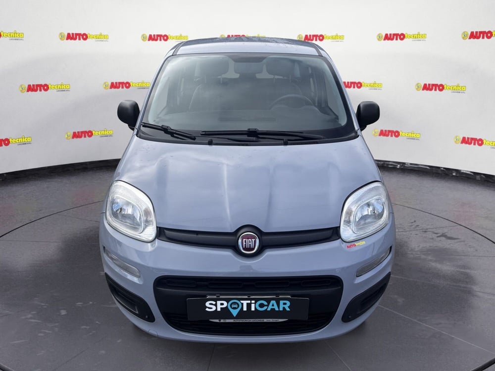 Fiat Panda usata a Lucca (2)