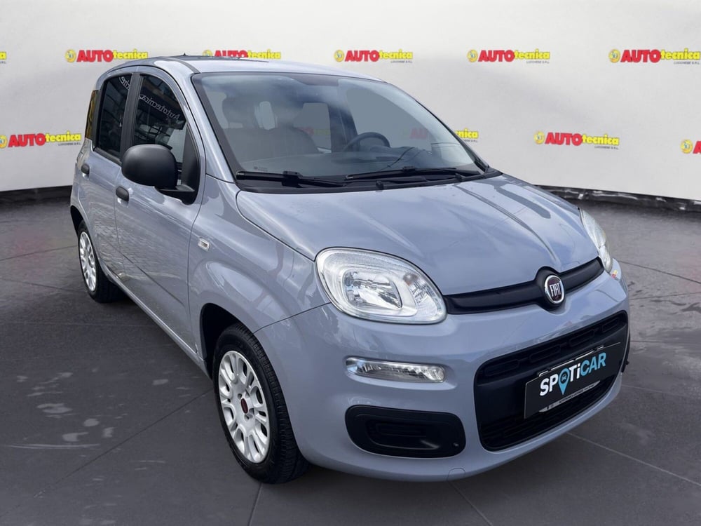 Fiat Panda usata a Lucca (3)