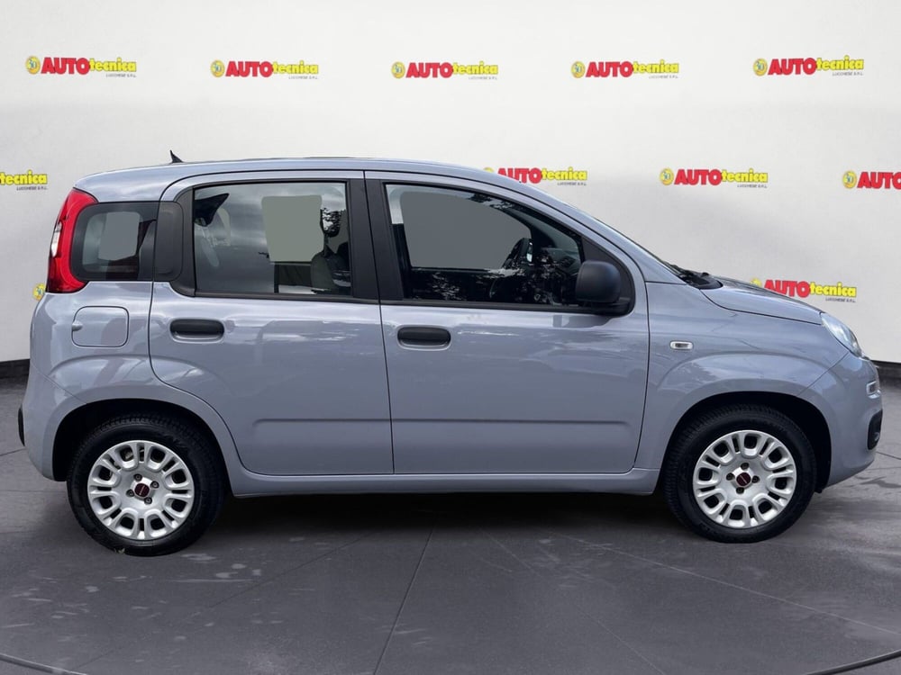 Fiat Panda usata a Lucca (4)