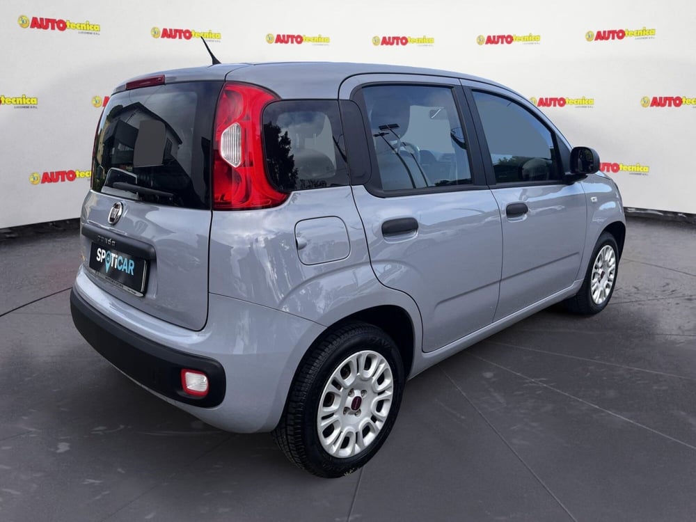 Fiat Panda usata a Lucca (5)