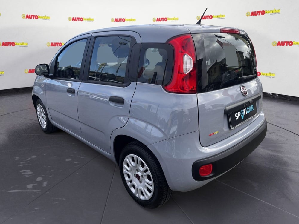 Fiat Panda usata a Lucca (7)