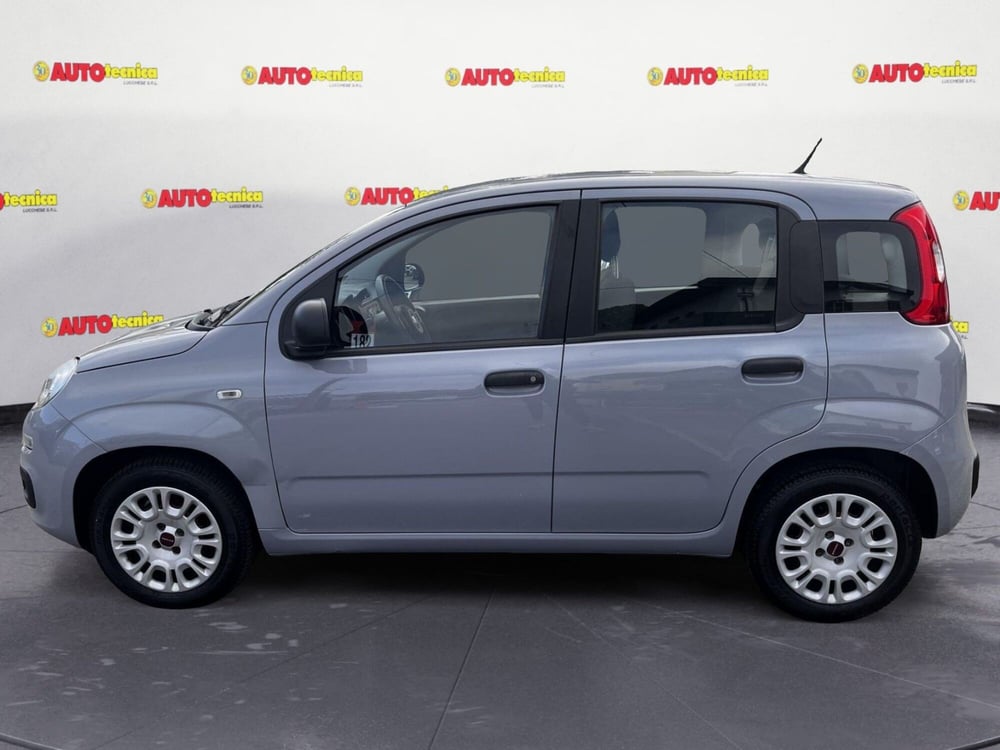 Fiat Panda usata a Lucca (8)