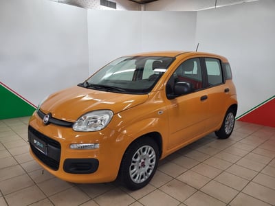 Fiat Panda 1.0 FireFly S&amp;S Hybrid Easy del 2021 usata a Terranuova Bracciolini