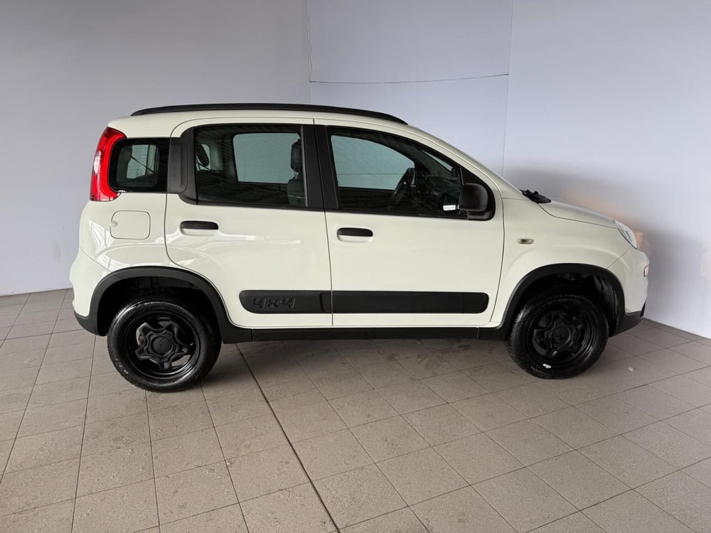 Fiat Panda usata a Monza e Brianza (8)