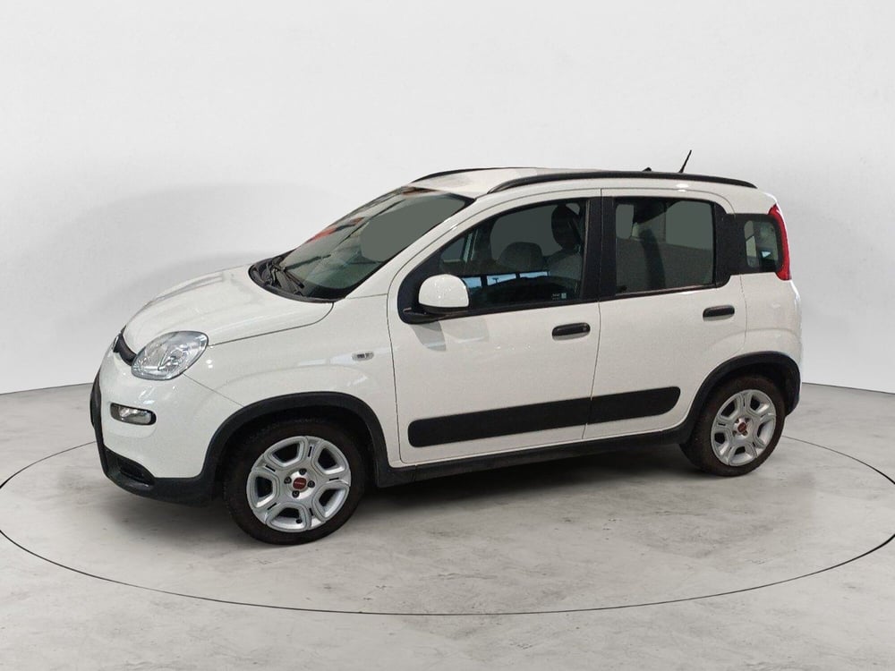 Fiat Panda usata a Frosinone (2)