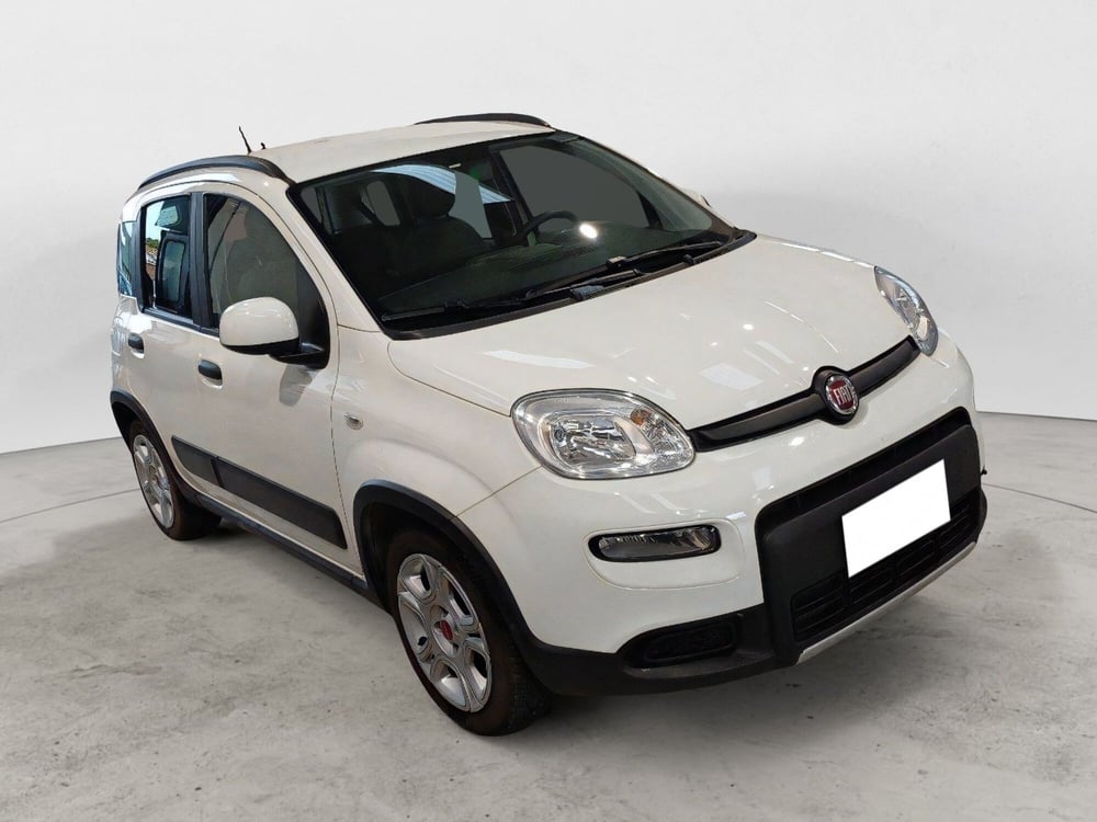 Fiat Panda usata a Frosinone (6)