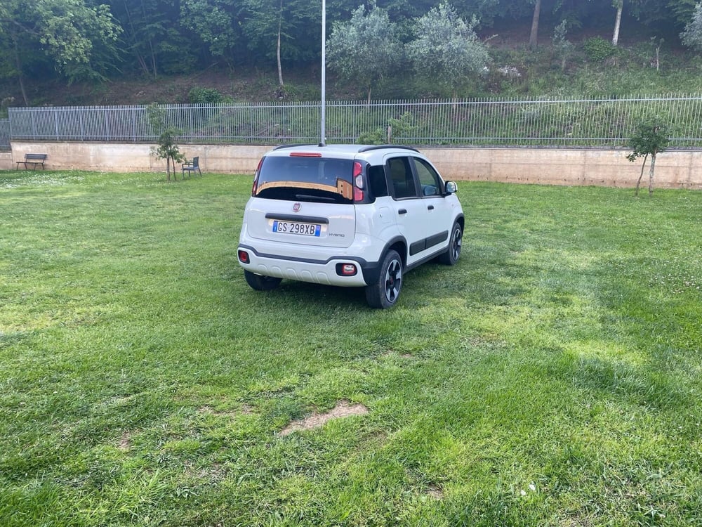 Fiat Panda Cross usata a Salerno (4)