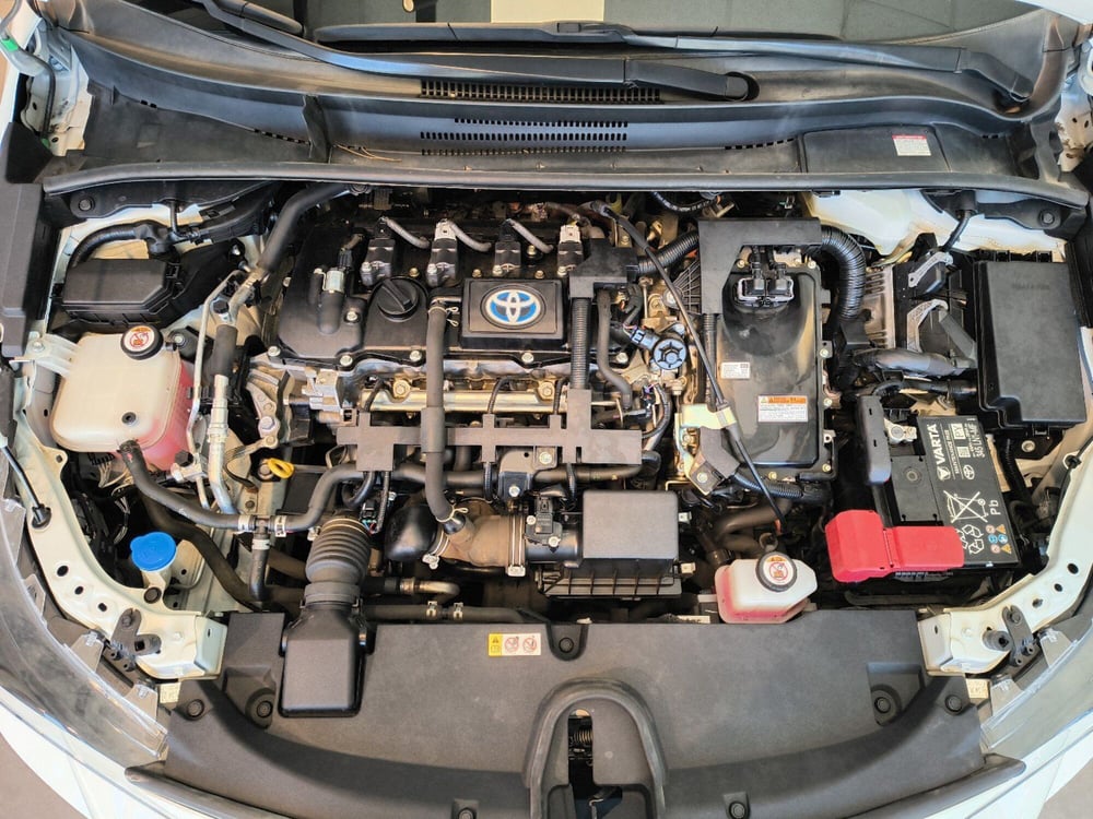 Toyota Corolla usata a Catanzaro (13)