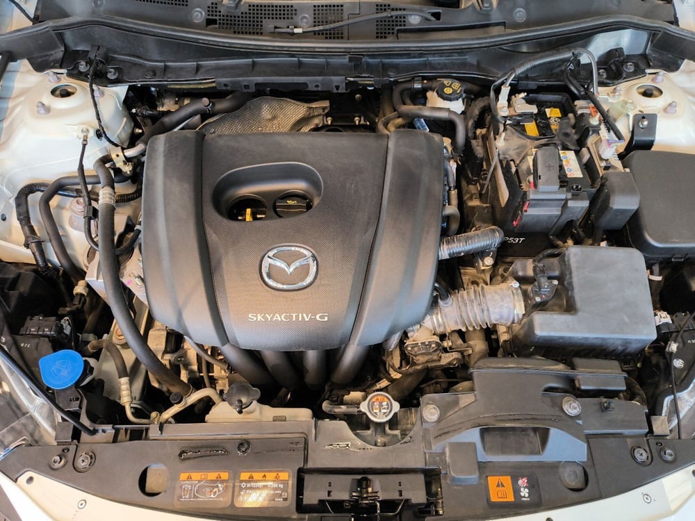 Mazda Mazda2 usata a Catanzaro (13)