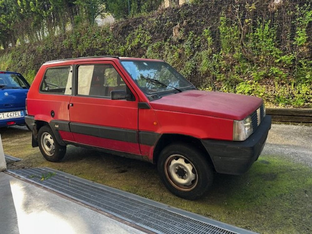 Fiat Panda usata a Vercelli (4)