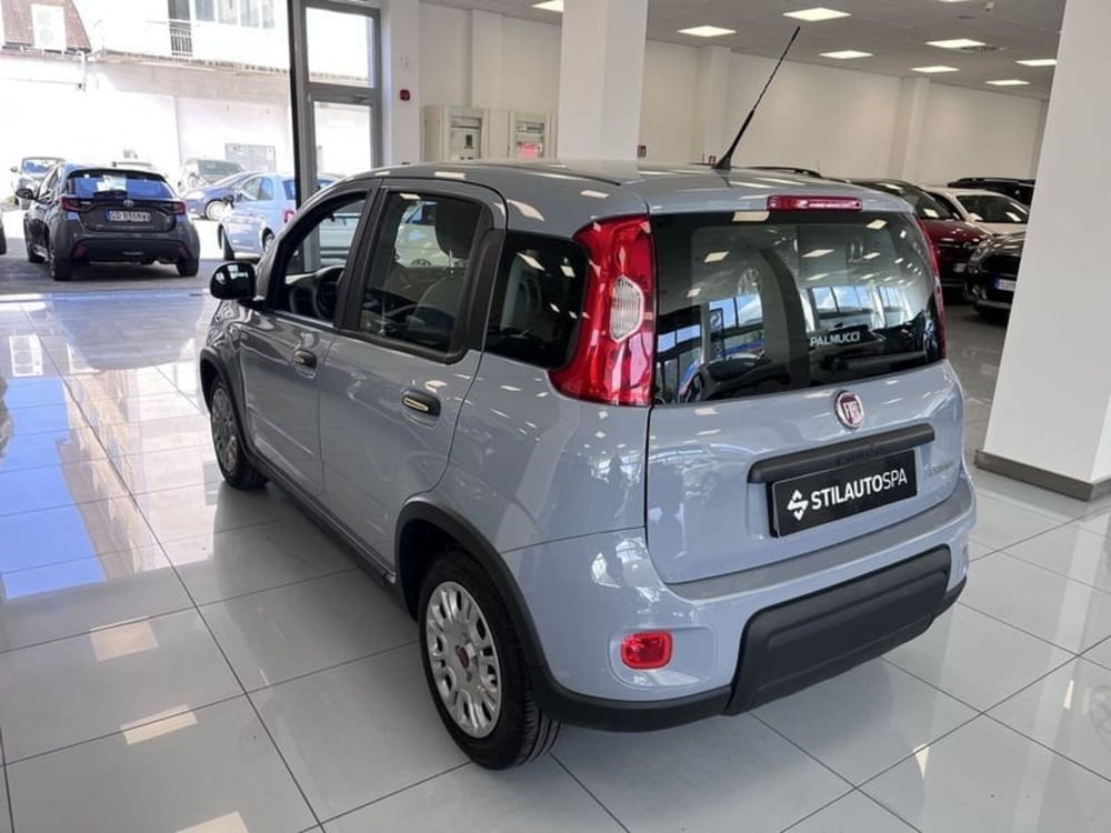 Fiat Panda Cross usata a Prato (4)