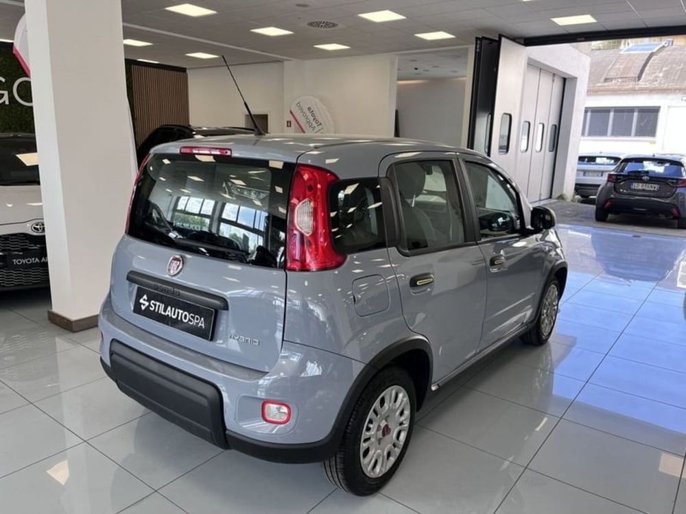 Fiat Panda Cross usata a Prato (6)