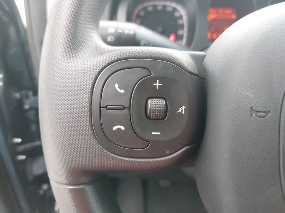 Fiat Panda Cross usata a Pavia (11)
