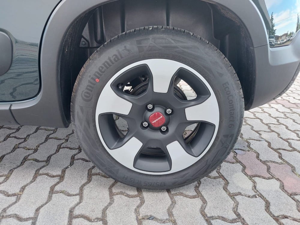 Fiat Panda Cross usata a Pavia (14)