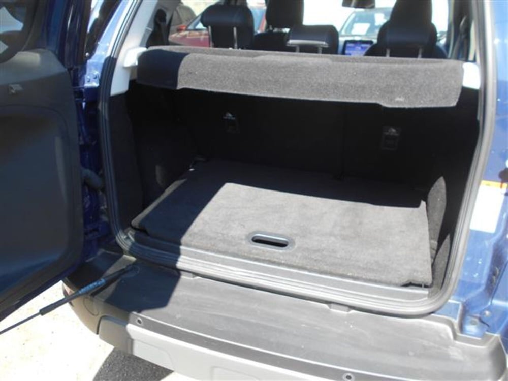 Ford EcoSport usata a Firenze (5)