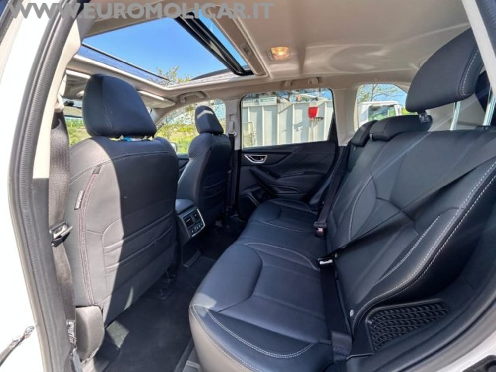 Subaru Forester usata a Campobasso (18)