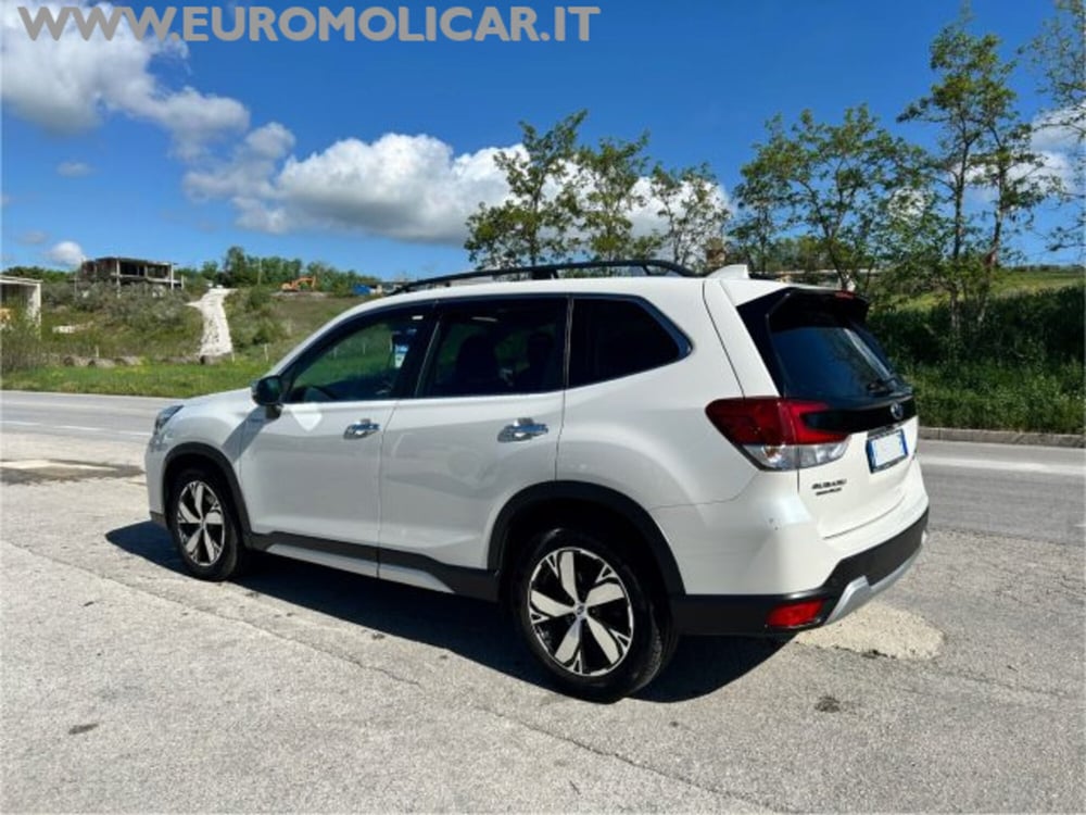 Subaru Forester usata a Campobasso (3)