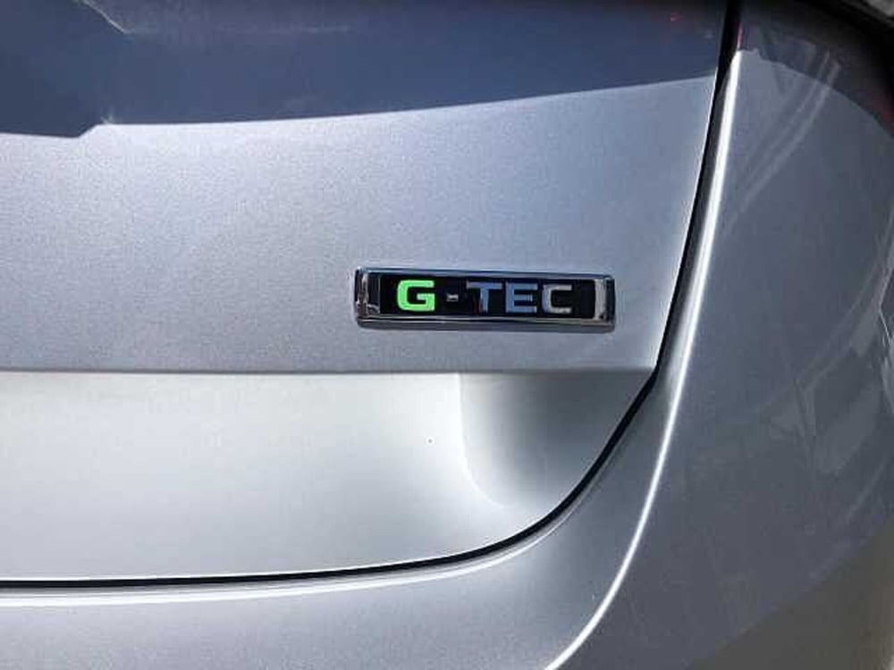 Skoda Scala usata a Ravenna (13)