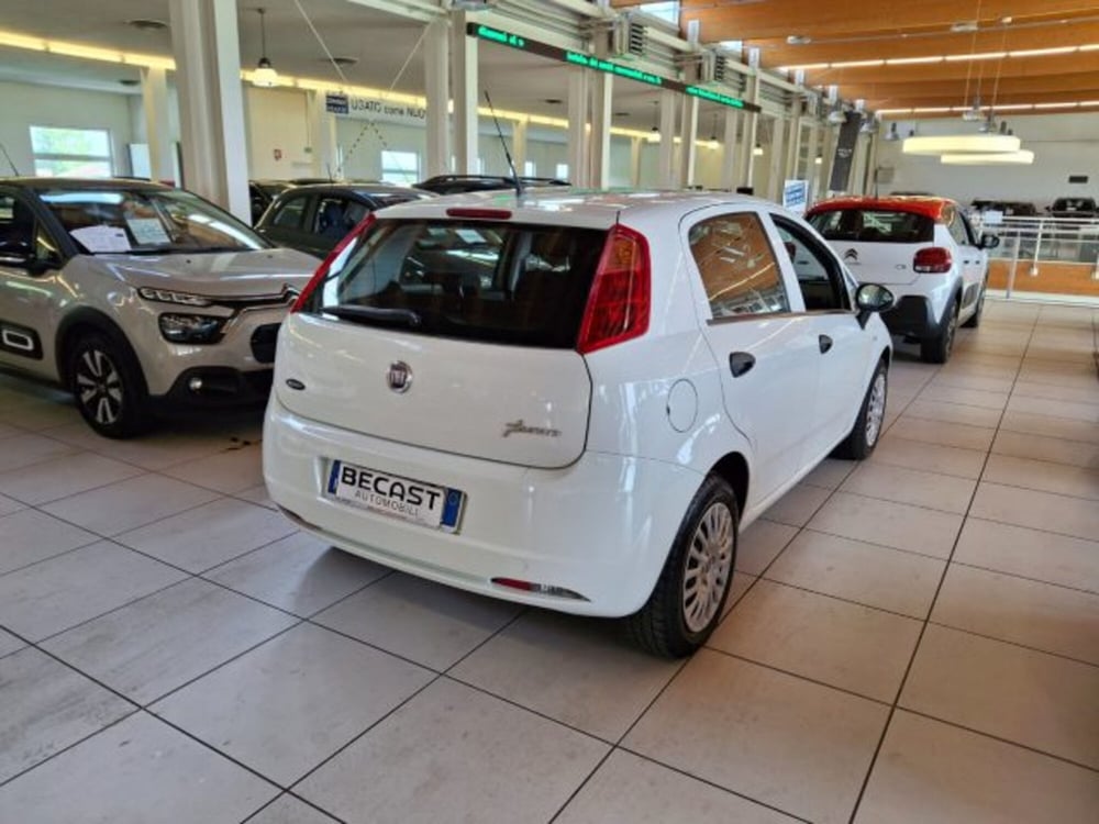 Fiat Punto usata a Vicenza (5)
