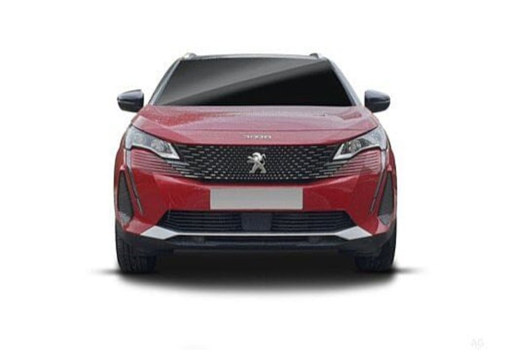 Peugeot 3008 usata a Potenza (7)