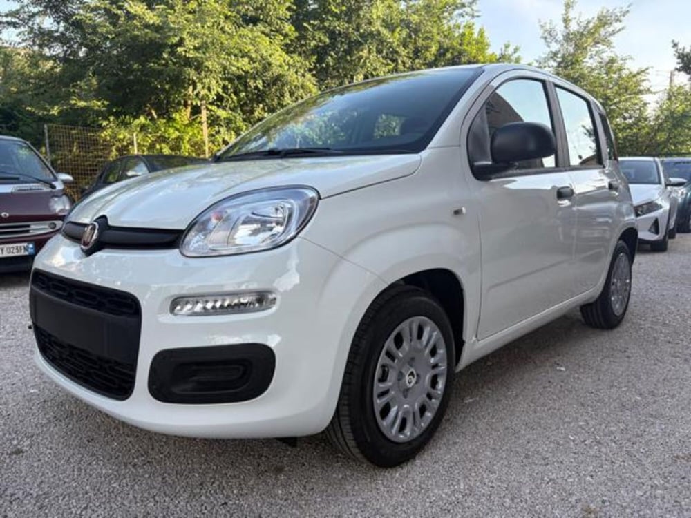 Fiat Panda nuova a Roma