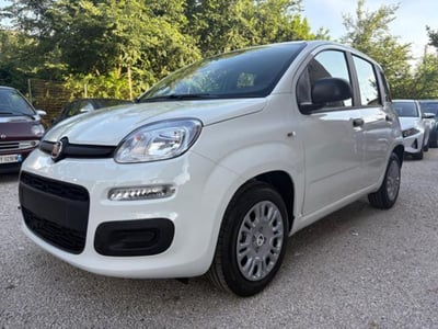 Fiat Panda 1.0 firefly hybrid s&amp;s 70cv 5p.ti nuova a Roma