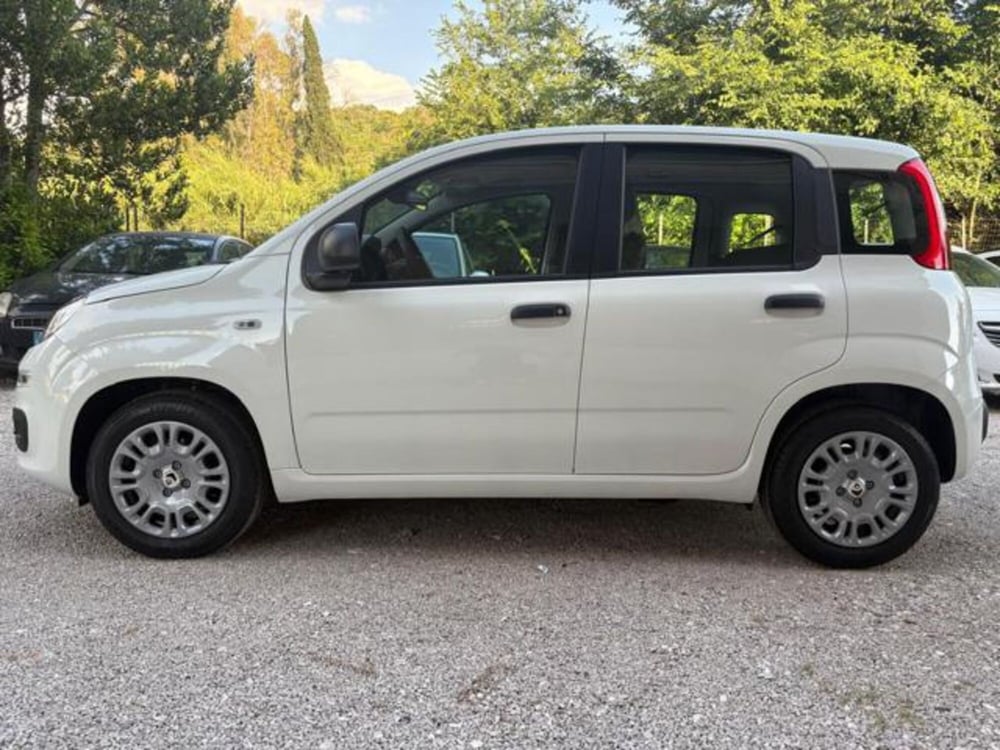 Fiat Panda nuova a Roma (2)