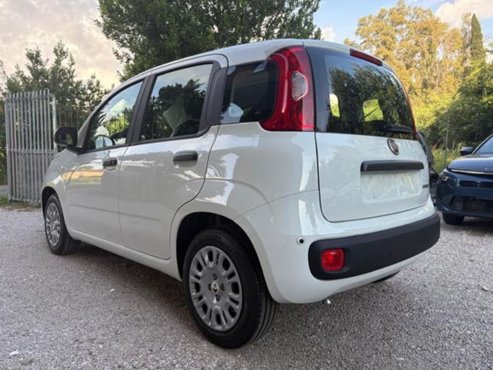 Fiat Panda nuova a Roma (3)