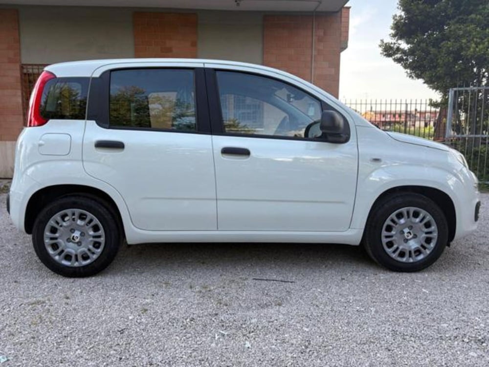 Fiat Panda nuova a Roma (6)