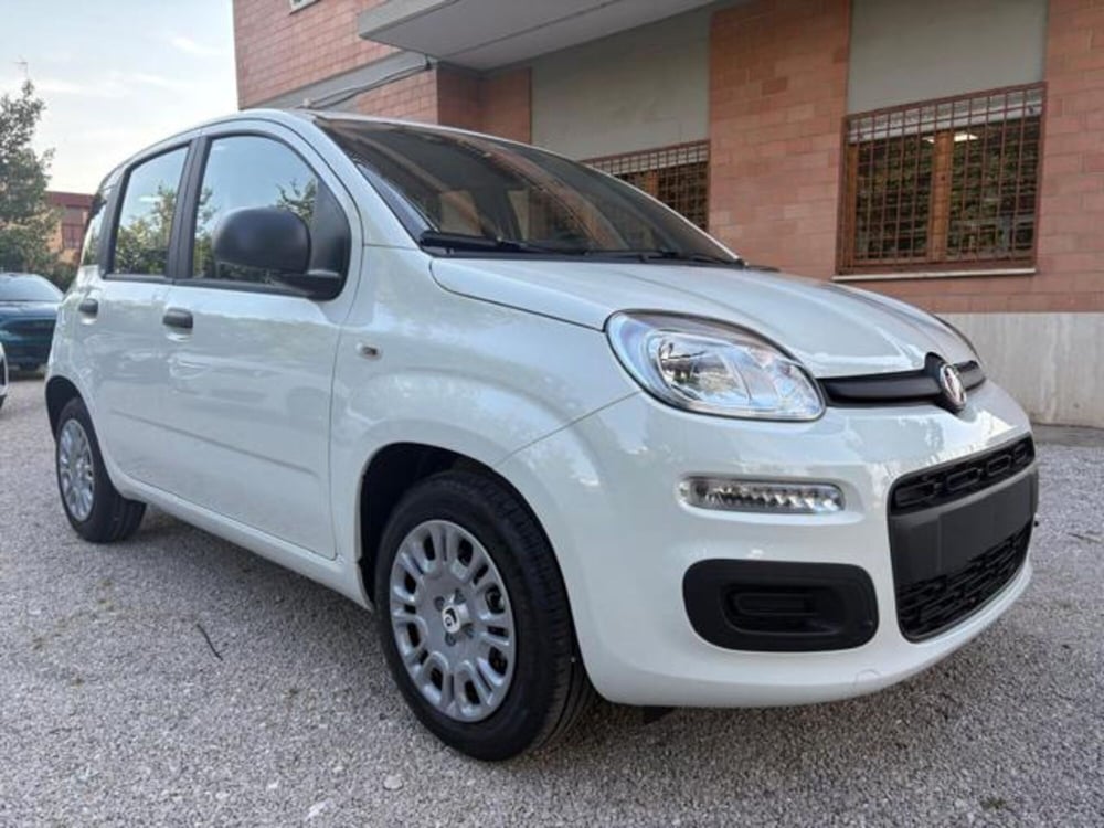 Fiat Panda nuova a Roma (7)