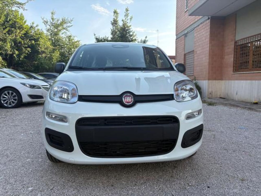 Fiat Panda nuova a Roma (8)