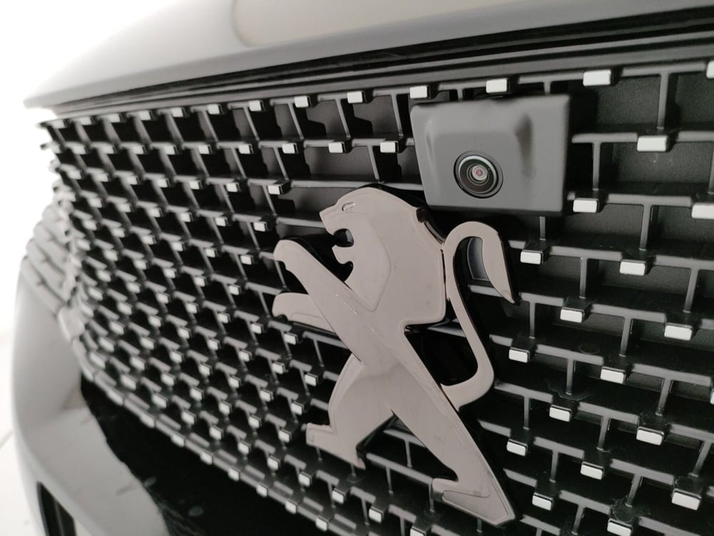 Peugeot 3008 usata a Caserta (11)