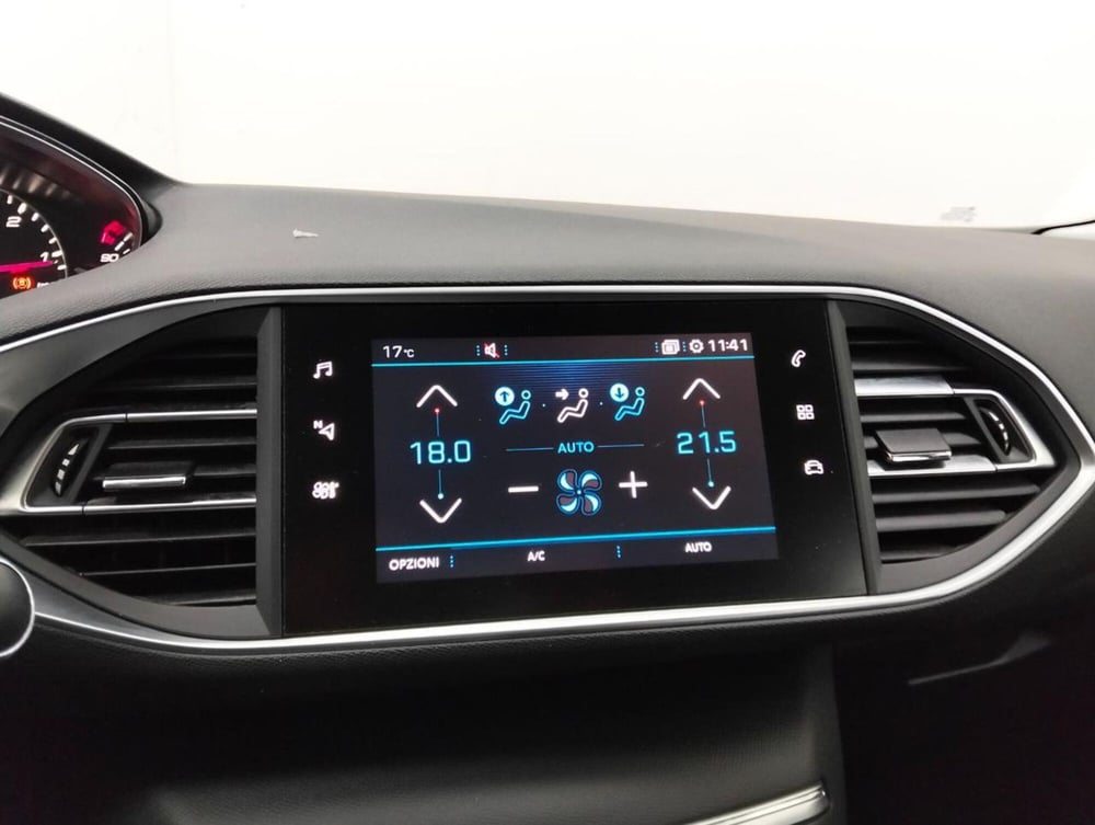 Peugeot 308 SW usata a Como (15)