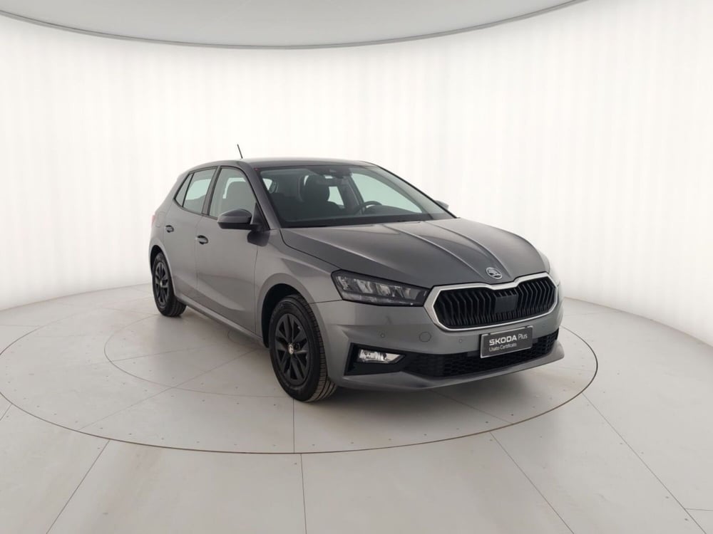 Skoda Fabia usata a Massa-Carrara (4)