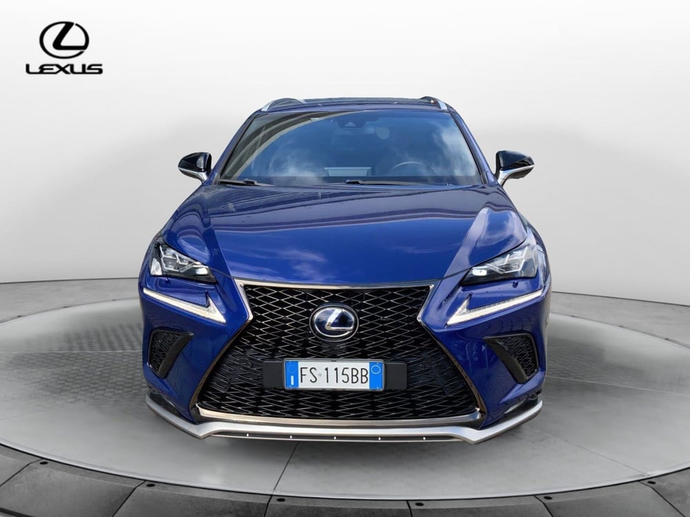 Lexus NX usata a Perugia (3)