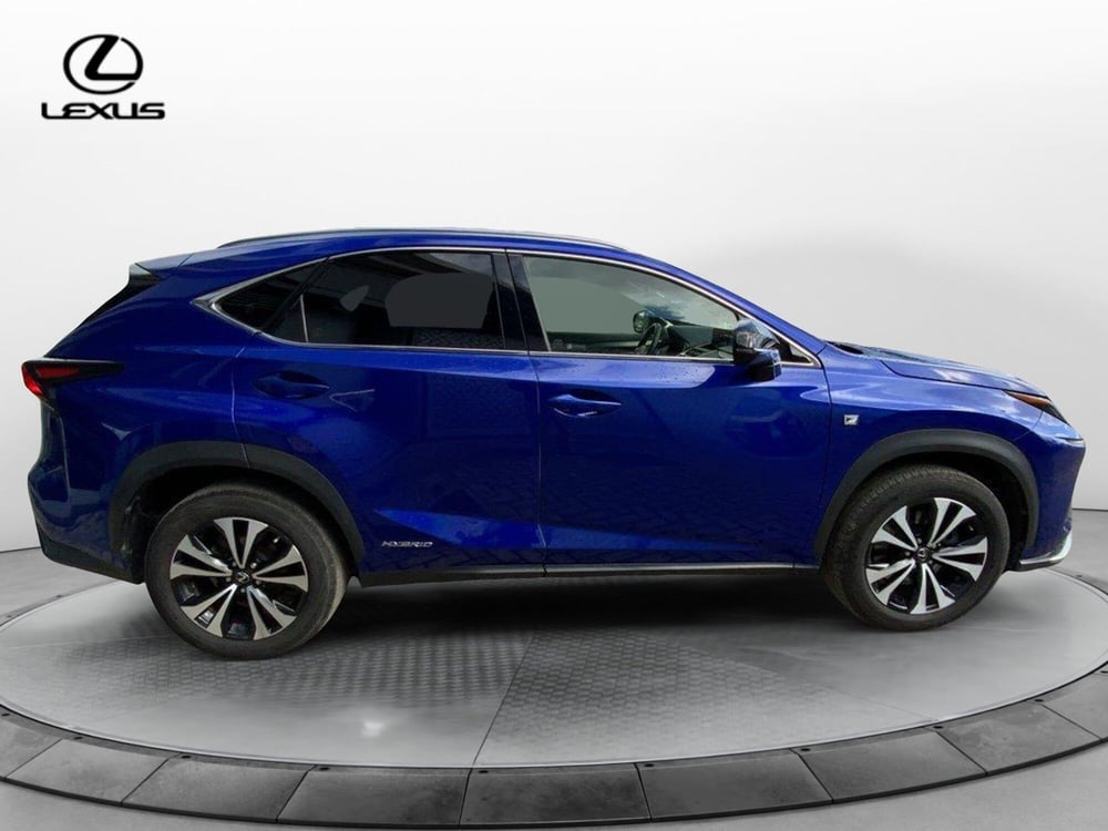 Lexus NX usata a Perugia (4)