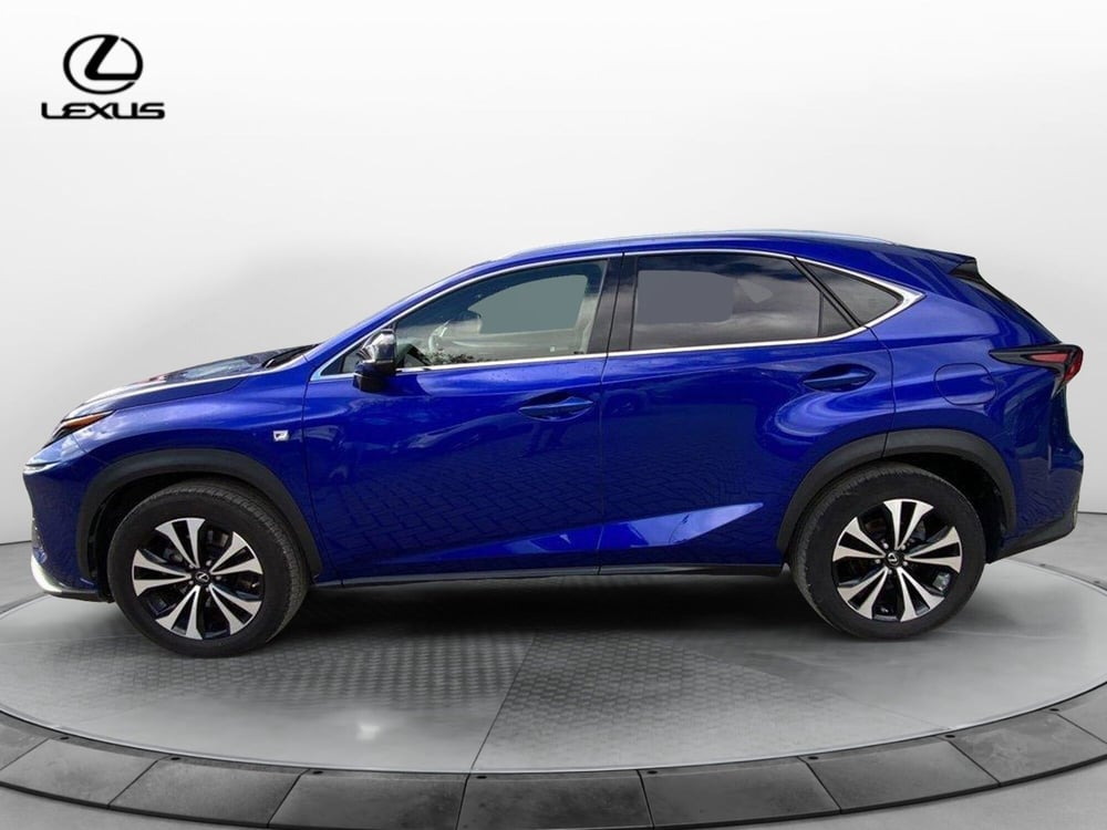 Lexus NX usata a Perugia (5)