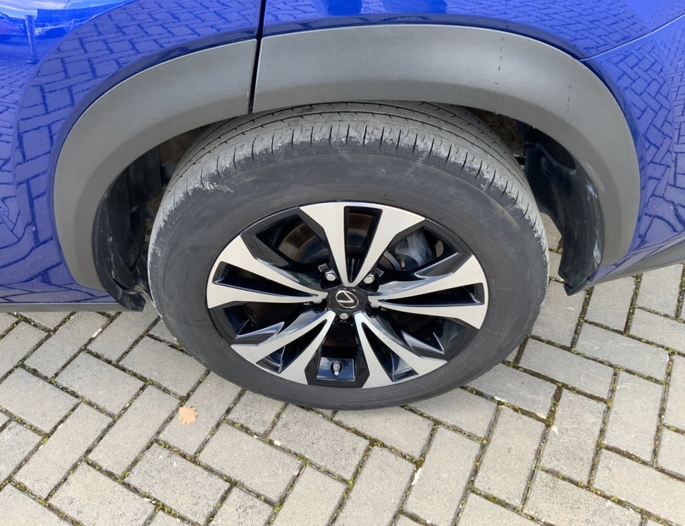 Lexus NX usata a Perugia (7)