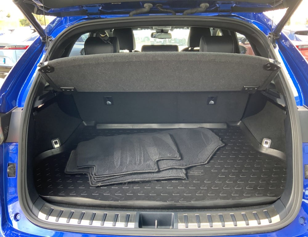 Lexus NX usata a Perugia (8)