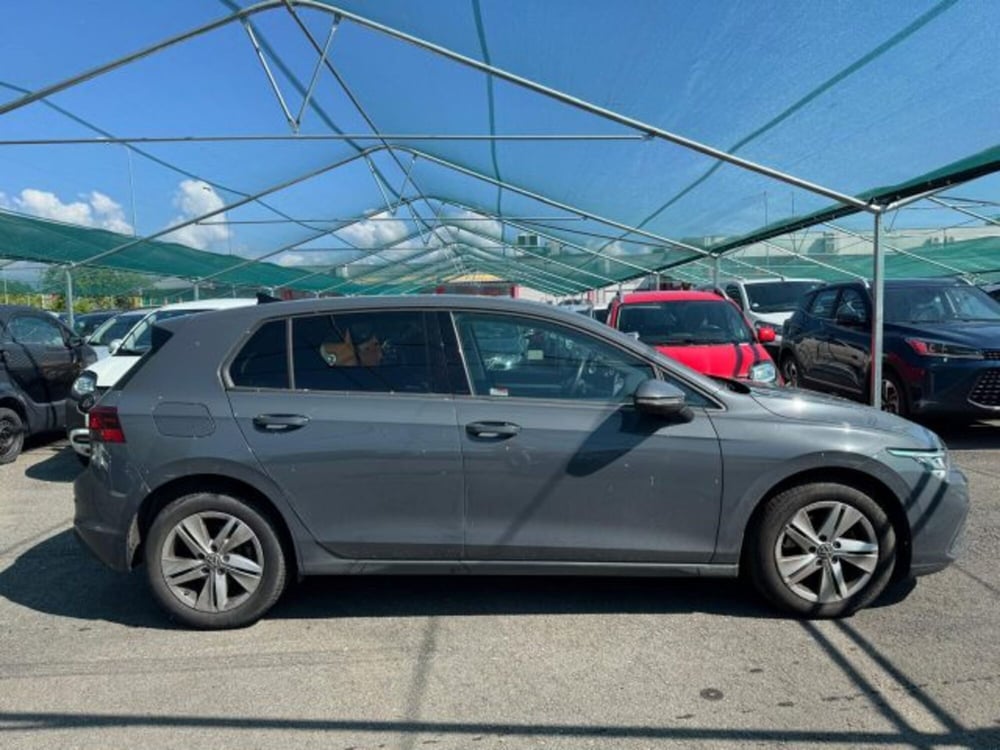 Volkswagen Golf usata a Biella (7)