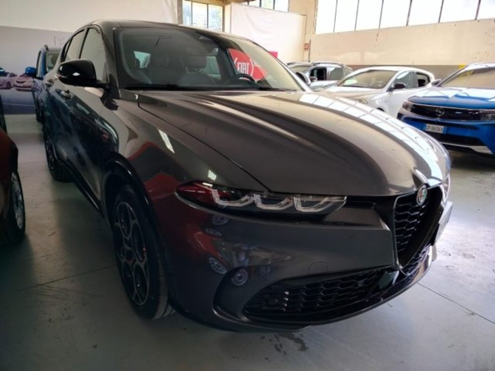 Alfa Romeo Tonale usata a Forlì-Cesena (4)